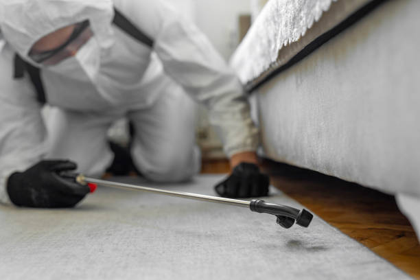 Professional Pest Control technician working in Indian Harbour Beach, FL