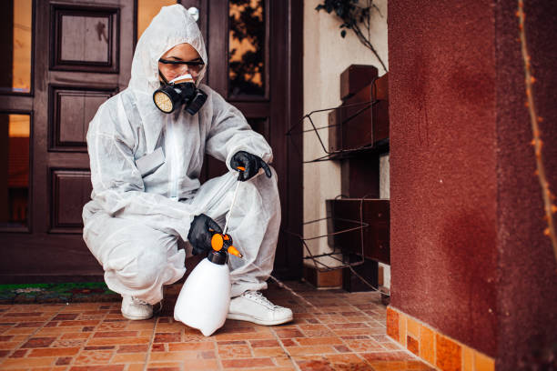 Reliable Termite Control contractor in Indian Harbour Beach, FL by Nex Pest Control