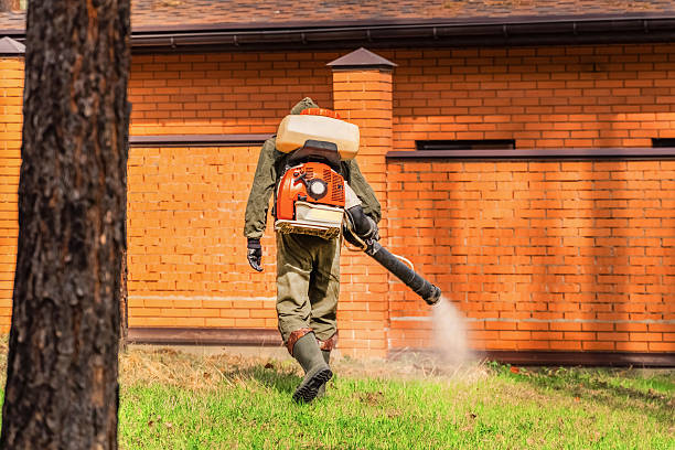 Trusted Termite Control service in Indian Harbour Beach, FL - Nex Pest Control